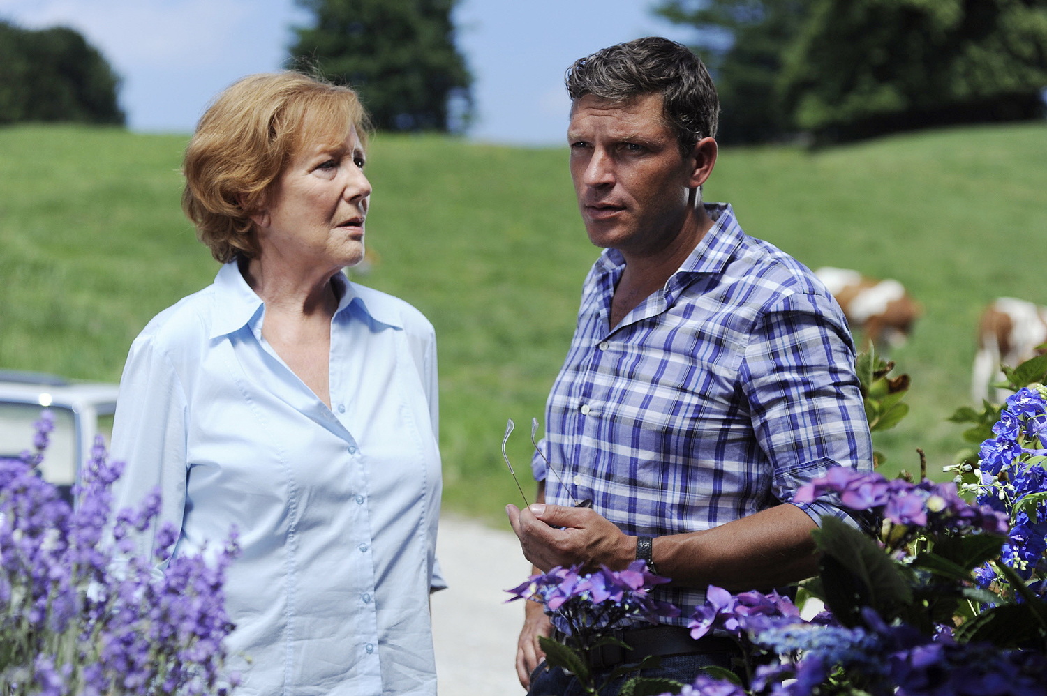 forsthaus falkenau staffel 22 forsthaus falkenau staffel 22